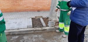 Alovera arranca el año con un nuevo Plan de Empleo municipal de once puestos