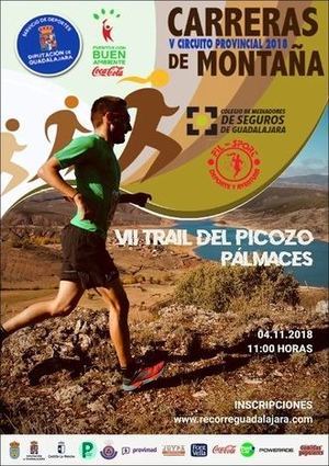 El domingo 4 de noviembre, VII Trail del Picozo de P&#225;lmaces, &#250;ltima prueba del Circuito de Diputaci&#243;n de Guadalajara