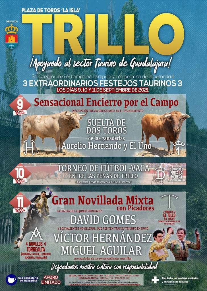 Trillo celebrará un programa de actos ‘apto’ para tiempos de pandemia con motivo de la festividad de su patrona, la Virgen del Campo