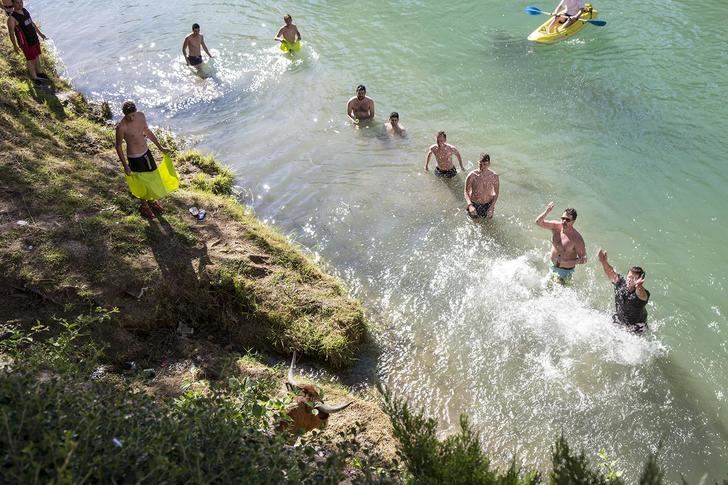 Trillo suspende su Feria Chica, incluidas las Vacas por el Tajo, a causa del COVID-19