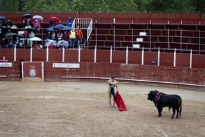Puerta grande y salida a hombros, merecido final tras una tarde de toros pasada por agua en Trillo