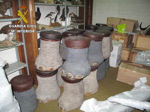 La Guardia Civil interviene una importante cantidad de trofeos de caza y animales naturalizados ilegales en Guadalajara
