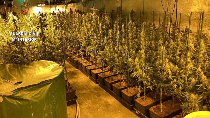 La Guardia Civil desmantela dos plantaciones de marihuana en Mesones y en Uceda