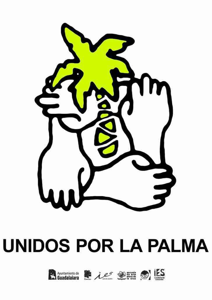 Cinco Centros de Secundaria de Guadalajara convocan una carrera solidaria : UNIDOS POR LA PALMA 
