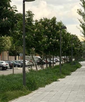 El PP de Azuqueca pedirá información sobre el servicio municipal de limpieza