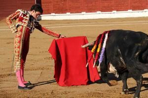 Víctor Hernández repite puerta grande en Sigüenza