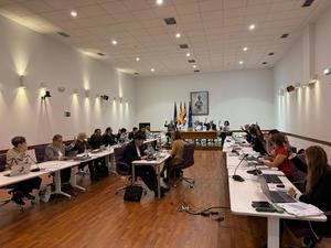 Aprobadas por el Pleno del Ayuntamiento de Guadalajara las nuevas ordenanzas de movilidad y de estacionamiento limitado