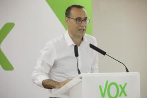 Vox pide a Ciudadanos que rompa el pacto de gobierno en el Ayuntamiento de Guadalajara