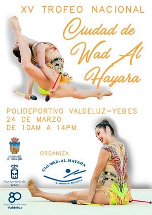 El polideportivo de Valdeluz acoge este domingo uno de los mejores torneos de gimnasia rítmica base de España