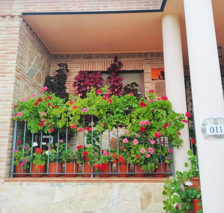 El I Concurso de Embellecimiento de Balcones y Ventanas de Yunquera de Henares ya tiene ganadores