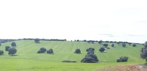 El Ayuntamiento de Yunquera de Henares solicitar personarse como interesado ante un posible recurso a la denegación de licencia para el macrovertedero