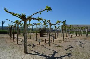 El Ayuntamiento de Yunquera de Henares revitaliza el Parque de San Cleto
