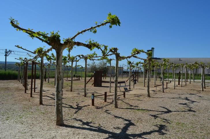 El Ayuntamiento de Yunquera de Henares revitaliza el Parque de San Cleto