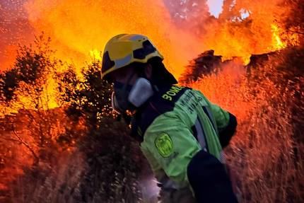 Bomberos y Protección Civil de Guadalajara mantienen su apoyo ininterrumpido al operativo del incendio de La Mierla