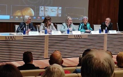 La exposición Caraca, la ciudad perdida se presentó en el Museo Arqueológico Nacional