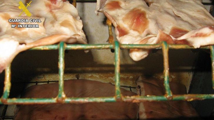 Clausurado en Hellín un establecimiento cárnico ilegal por riesgo sanitario y sin licencia