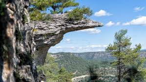 Castilla La Mancha declara de utilidad pública más de 1.000 hectáreas de monte en el municipio de Checa