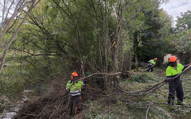 La CHT comienza los trabajos de conservación y mantenimiento de cauces en la provincia de Guadalajara
