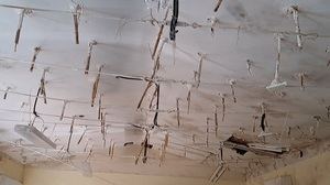 AIKE denuncia el abandono del colegio de Usanos