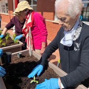 Inicia la temporada de cultivo en el Centro de Mayores de Cabanillas