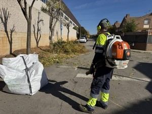 El Ayuntamiento de Quer inicia la poda de otoño-invierno