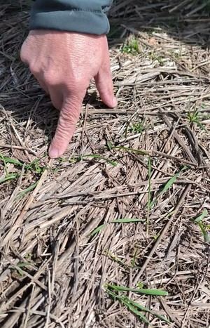 APAG y Asaja CLM logran que por primera vez se tomen medidas contra la plaga de conejos más allá de la comarca de emergencia cinegéticia