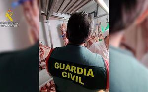 Detienen a un varón por vender en Toledo carne de cordero sin garantías sanitarias y sacrifican 228 animales