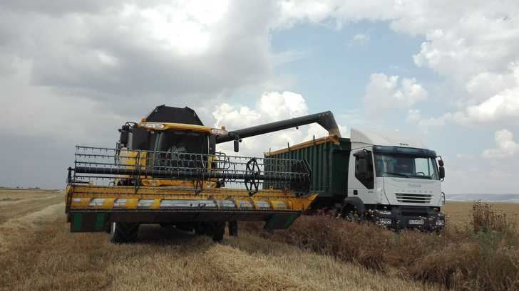 La provincia de Guadalajara cierra una cosecha buena pero con un cierto retraso