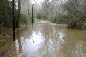 Guadalajara traslada a la Junta su preocupación por el estado del Puente Árabe tras las recientes crecidas del río