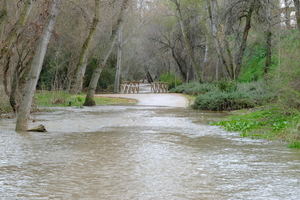 Los agricultores de Guadalajara afectados por las inundaciones estudian denunciar a la CHT