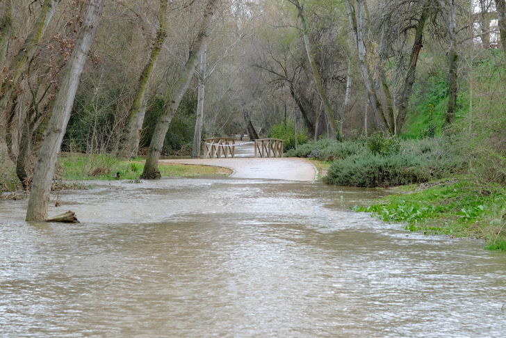 Foto : EDUARDO BONILLA