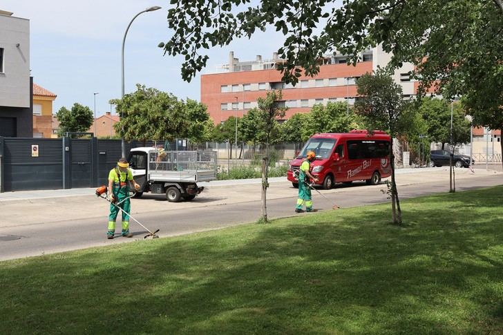 Azuqueca lanza un programa para controlar la vegetación espontánea