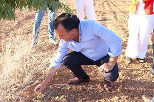David Moreno: “Castilla-La Mancha tiene más población de conejos cada año, pero su caza ha disminuido un 17%”