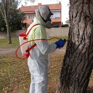Cabanillas del Campo refuerza tratamientos contra la procesionaria en coníferas