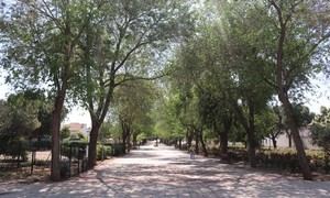 Cabanillas licita la reforma del Parque Buero Vallejo con un presupuesto de 710.000 euros