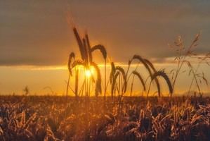 Quer invita a sus vecinos a participar en el Concurso de Fotografía para el calendario 2026