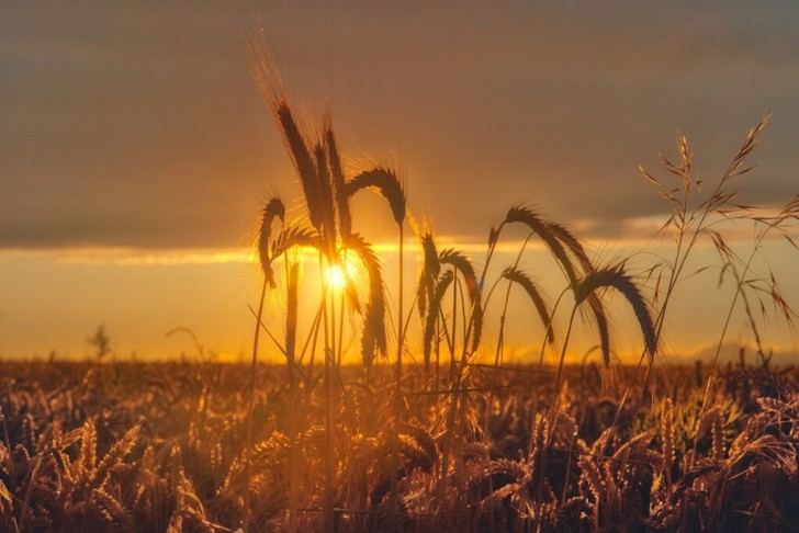Quer invita a sus vecinos a participar en el Concurso de Fotografía para el calendario 2026