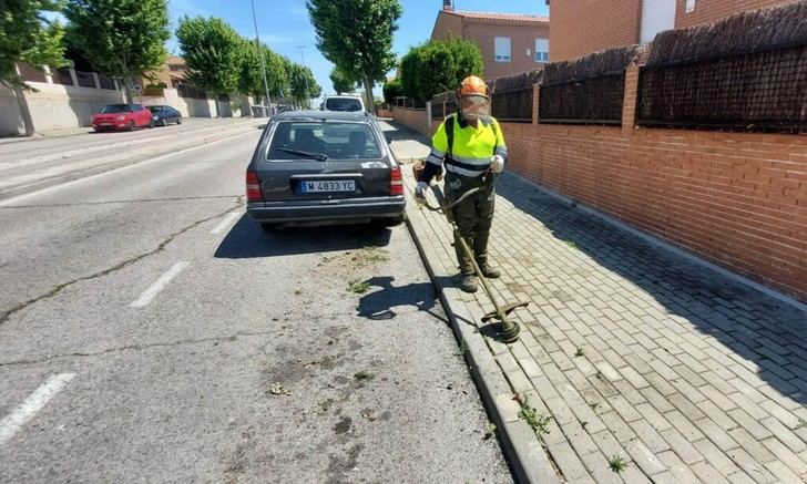 El Ayuntamiento lanza un plan urgente de desbroce ante la proliferación de maleza