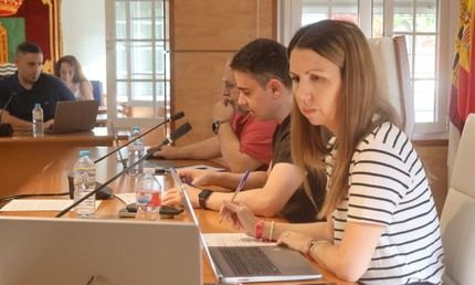 El Ayuntamiento adelanta la fecha de desbroce obligatorio y aumenta las multas