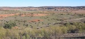 El Gobierno aclara el deslinde de vías pecuarias y su diferencia con expropiaciones