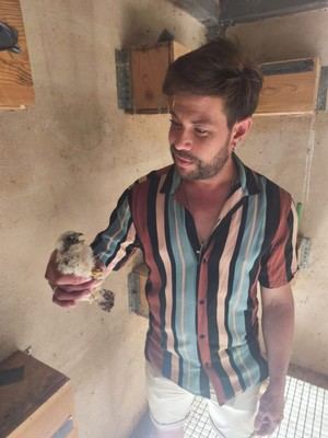 El primillar de Quer celebra el nacimiento de 34 pollos en libertad