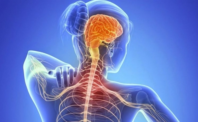 La Carrera Solidaria Contra la ELA de Eurocaja Rural en Toledo bate récord superando los 5.300 asistentes