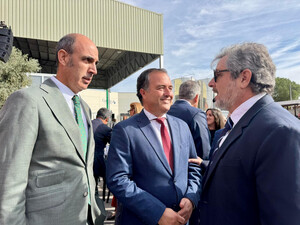 David Moreno exige el fin de la competencia desleal al aceite de Castilla-La Mancha y reclama el pago íntegro de la PAC