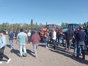 Asaja, COAG y Unión de Uniones prevén reunir este miércoles 500 tractores en Madrid por un campo rentable