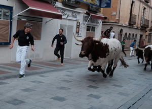 Guadalajara estrena sus encierros de la Feria de la Antigua con un carrera limpia, rápida y sin incidencias sanitarias