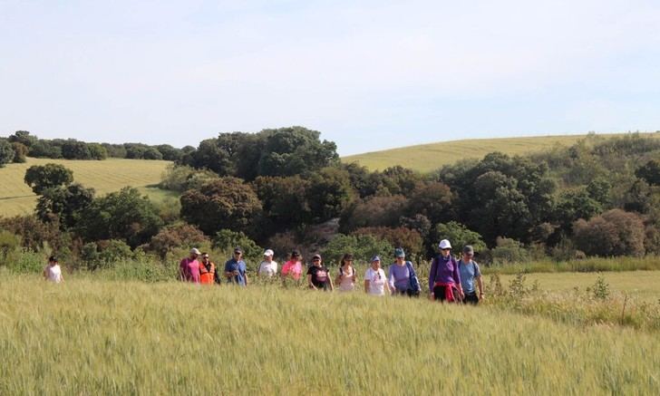 Cabanillas del Campo lanza encuesta para paseos saludables en grupo