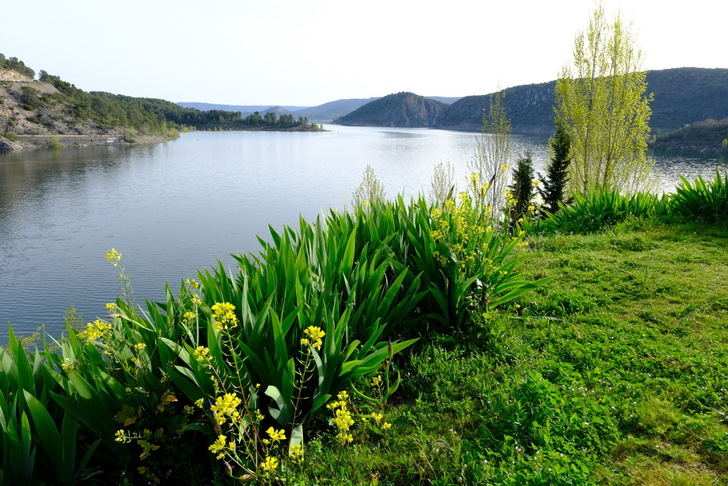 Foto : EDUARDO BONILLA