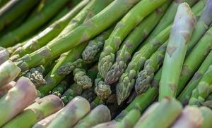 Campaña "desigual" del espárrago verde en Guadalajara y con robos en las explotaciones