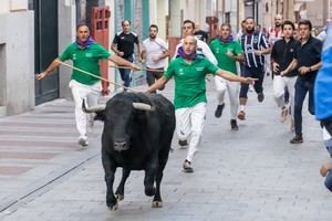Destacan la labor de los pastores en un encierro prolongado y seguro