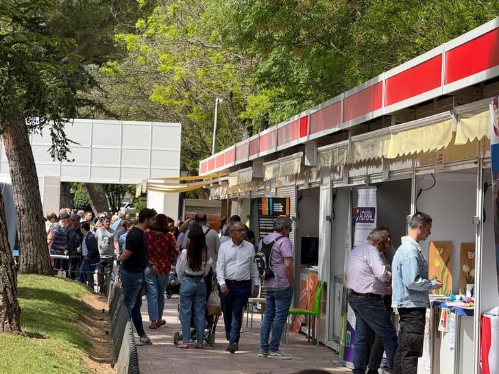 Más de 8.000 personas participan en la Feria de Asociaciones de Guadalajara, que ya prepara su décima edición